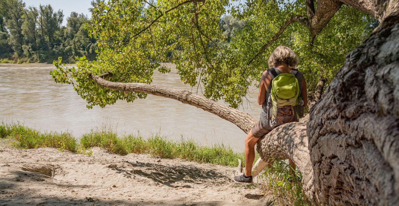 Frau sitzt auf Baumstamm, © Inn-Salzach Tourismus Frau sitzt auf Baumstamm, © Inn-Salzach Tourismus