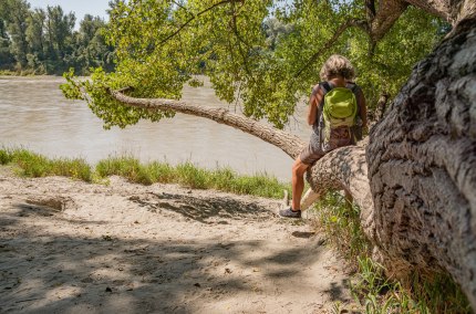 Frau sitzt auf Baumstamm, © Inn-Salzach Tourismus Frau sitzt auf Baumstamm, © Inn-Salzach Tourismus