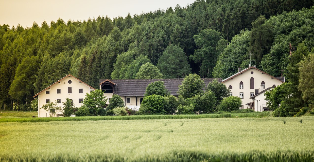 gnsayFYtNBjoVtZqbV7CI6SnxTgzicnAScng19Bh.jpeg gnsayFYtNBjoVtZqbV7CI6SnxTgzicnAScng19Bh.jpeg