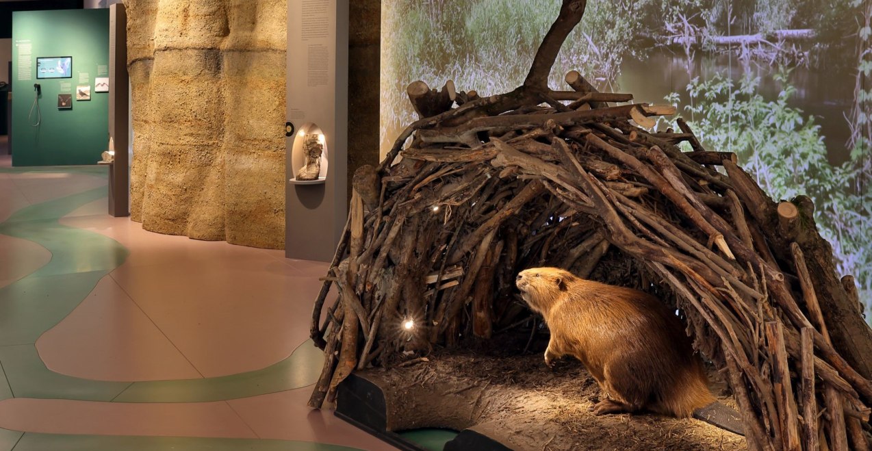 Führung in Burghausen, © Veranstalter Führung in Burghausen, © Veranstalter