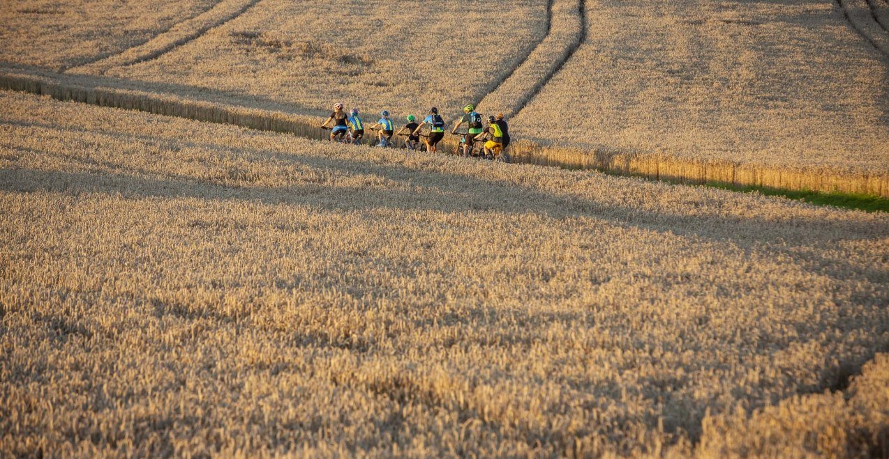Radfahrer im Holzland, © Wolfgang Gasserwww.chiemsee-fot Radfahrer im Holzland, © Wolfgang Gasserwww.chiemsee-fot