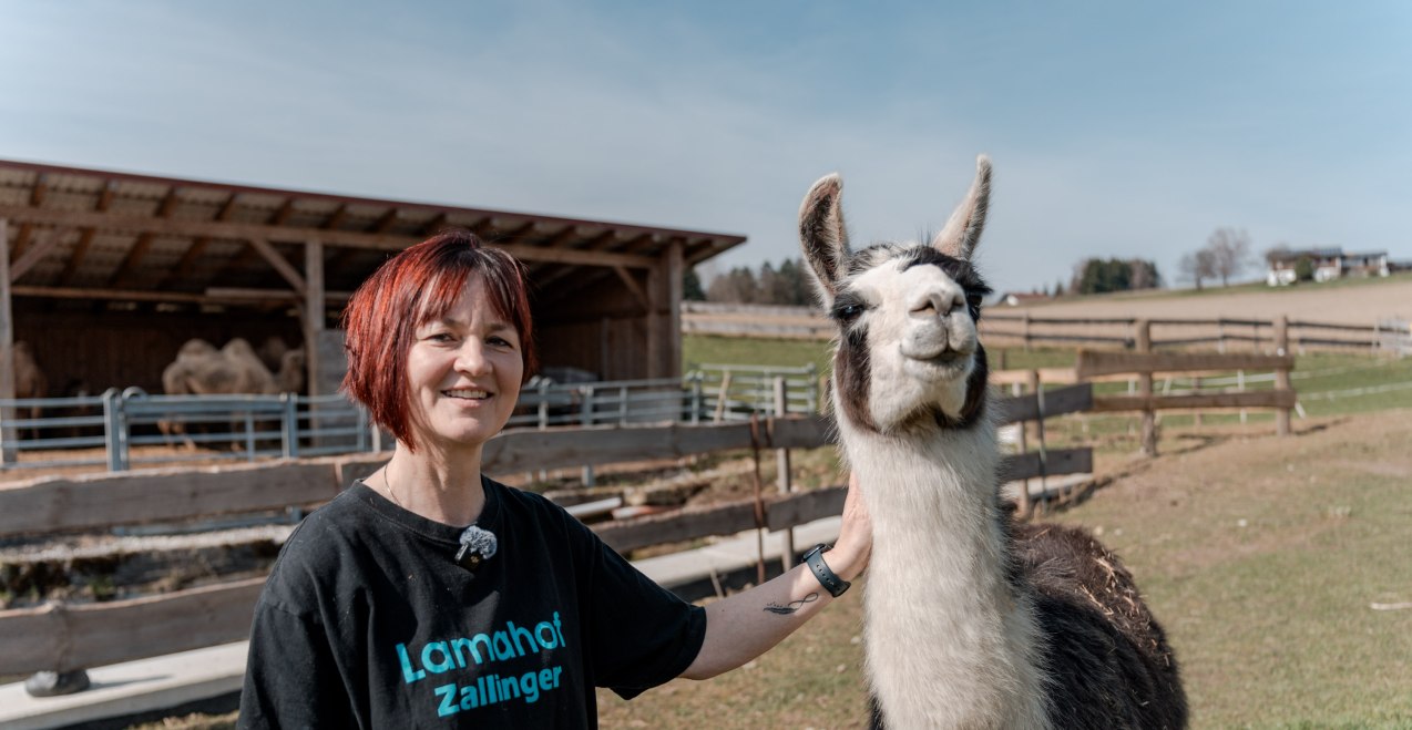 Sabine Zallinger mit Lama, © Tourimsusverband Inn-Salzach Sabine Zallinger mit Lama, © Tourimsusverband Inn-Salzach