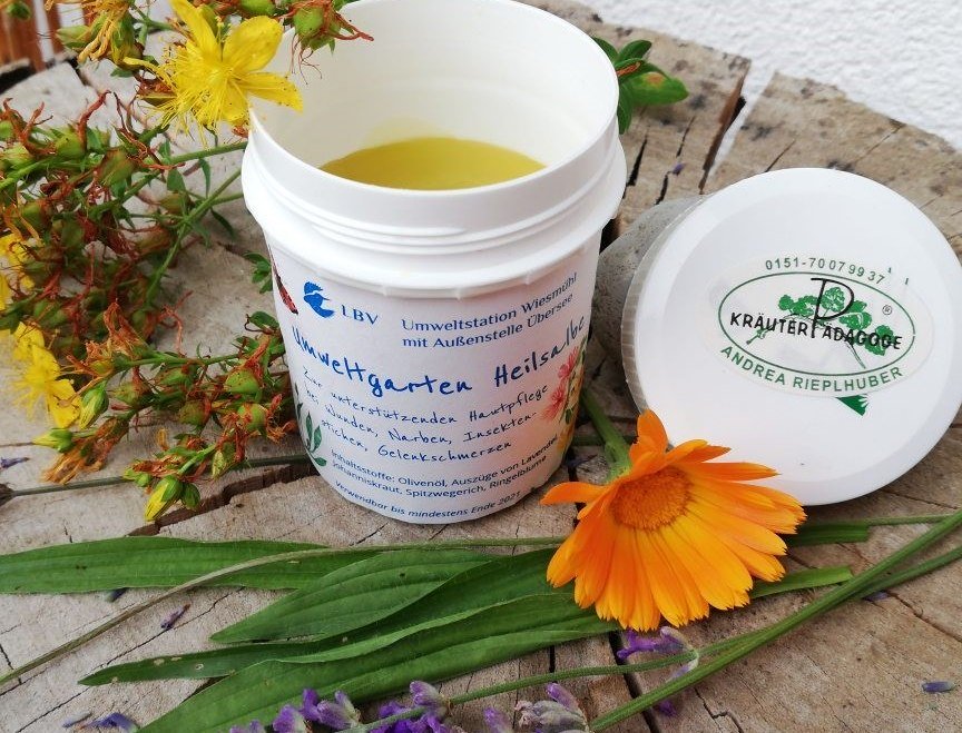 Kräuterwanderung in Trostberg, © Andrea Rieplhuber Kräuterwanderung in Trostberg, © Andrea Rieplhuber