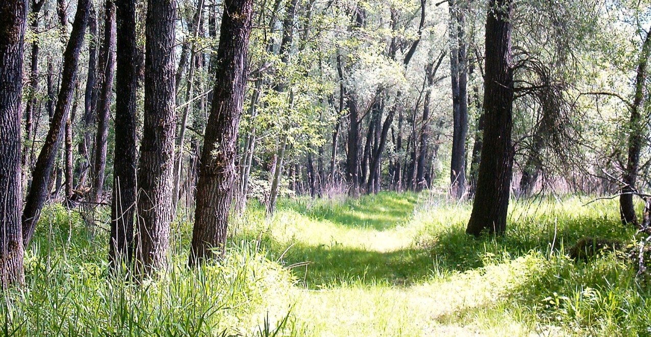 Natur erleben im Juni, © Beate Brunninger Natur erleben im Juni, © Beate Brunninger