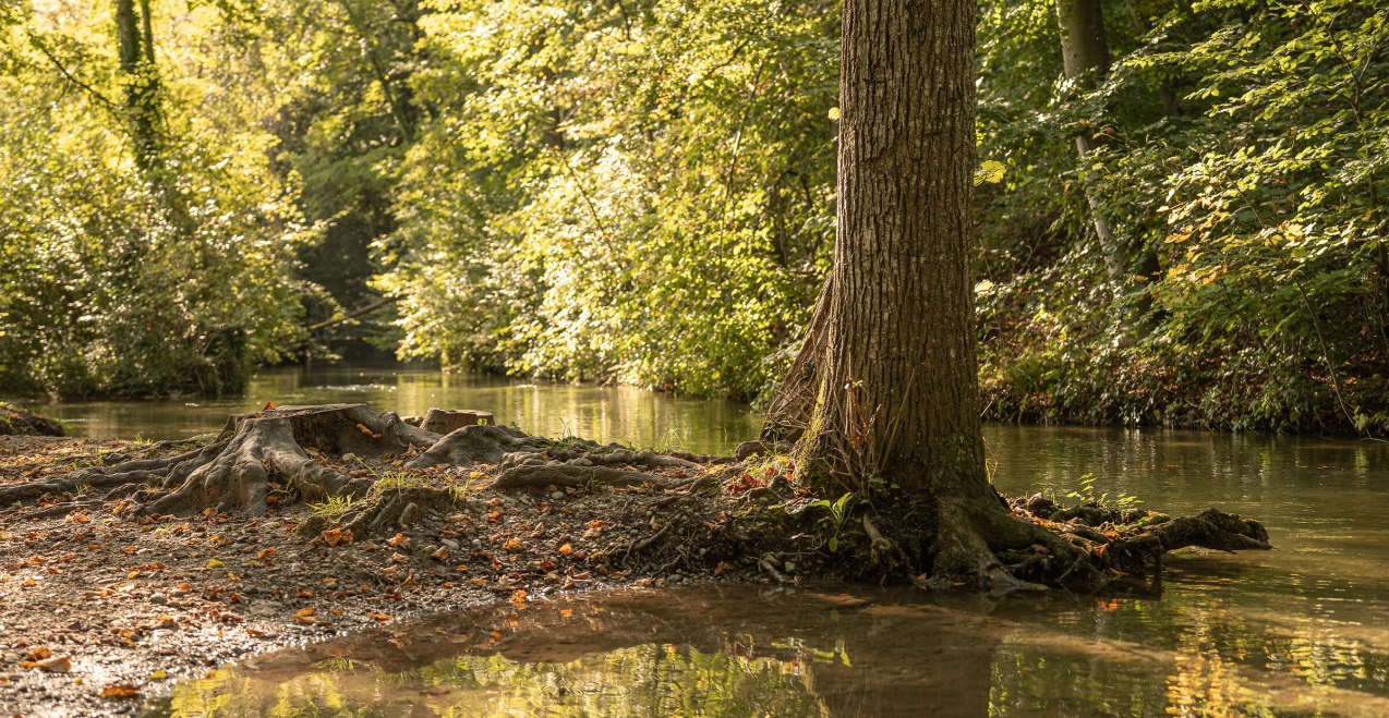Mühlbach mit Bäumen in Garching a. d. Alz, © Inn-Salzach Tourismus Mühlbach mit Bäumen in Garching a. d. Alz, © Inn-Salzach Tourismus