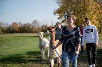 Gruppen-Wanderung mit Alpakas, © Inn-Salzach Tourismus Gruppen-Wanderung mit Alpakas, © Inn-Salzach Tourismus