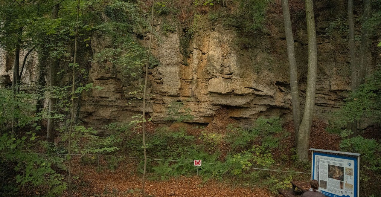Oberschroffener Orgeln, © Saskia Niedermeier Oberschroffener Orgeln, © Saskia Niedermeier