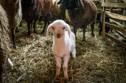 53hmOxlOLPdwCvn01IR1N3LoEd1SGw3Cvc5vgwHF.jpg, © Landratsamt Mühldorf a. Inn 53hmOxlOLPdwCvn01IR1N3LoEd1SGw3Cvc5vgwHF.jpg, © Landratsamt Mühldorf a. Inn