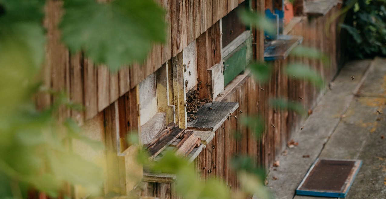 Bienenkästen Imkerlehrpfad Marktl, © Inn-Salzach Tourismus Bienenkästen Imkerlehrpfad Marktl, © Inn-Salzach Tourismus