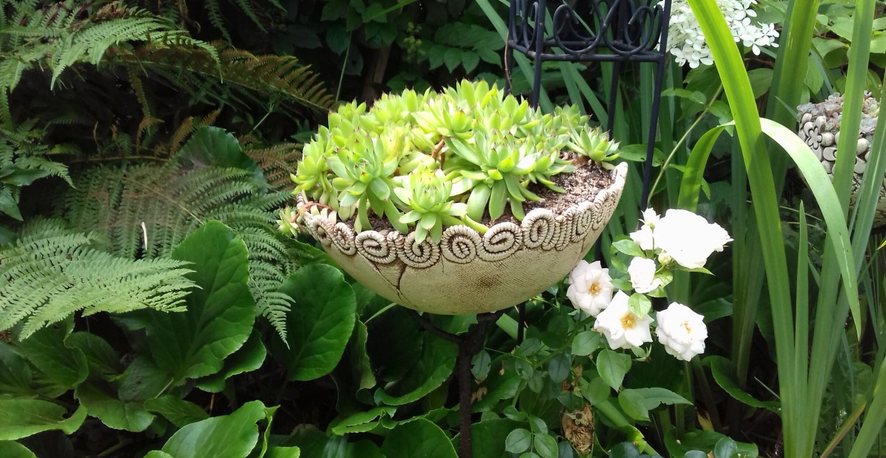 Getöpferte Schale bepflanzt mit Hauswurz, © Kasterl Kunterbunt Getöpferte Schale bepflanzt mit Hauswurz, © Kasterl Kunterbunt