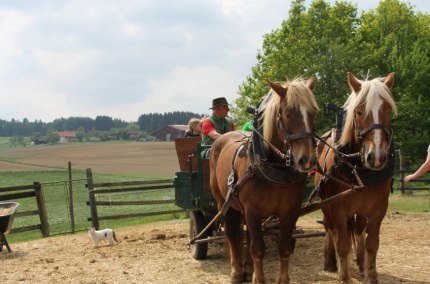 Kutschfahrt in Oberbayern, © Sabine Zallinger Kutschfahrt in Oberbayern, © Sabine Zallinger