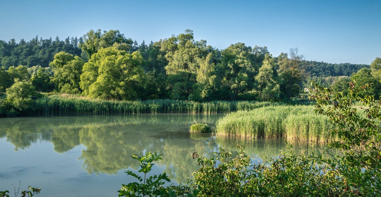 124726_Auwald_am_Innspitz.jpg 124726_Auwald_am_Innspitz.jpg