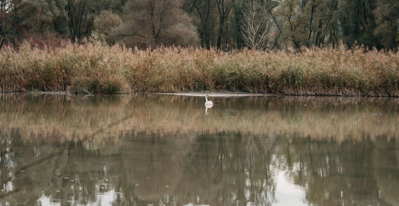 ePBBc2aH83KpF6xUtssYxF9q8TFvenrURaPpkqb1.jpg, © Inn-Salzach Tourismus ePBBc2aH83KpF6xUtssYxF9q8TFvenrURaPpkqb1.jpg, © Inn-Salzach Tourismus