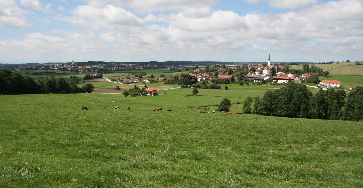 Aussicht ins Haager Land Aussicht ins Haager Land
