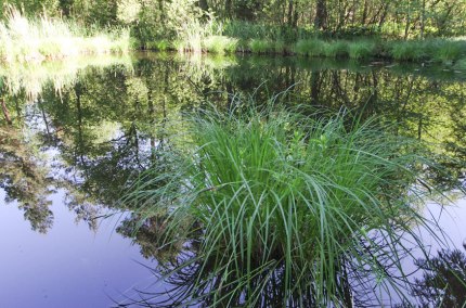 Toteiskessel im Haager Land, © Landratsamt Mühldorf a. Inn Toteiskessel im Haager Land, © Landratsamt Mühldorf a. Inn