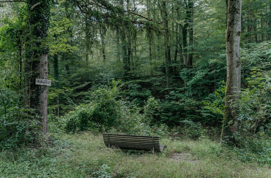 Liege mit Blick auf die Alz im Wald, &copy; Inn-Salzach Tourismus