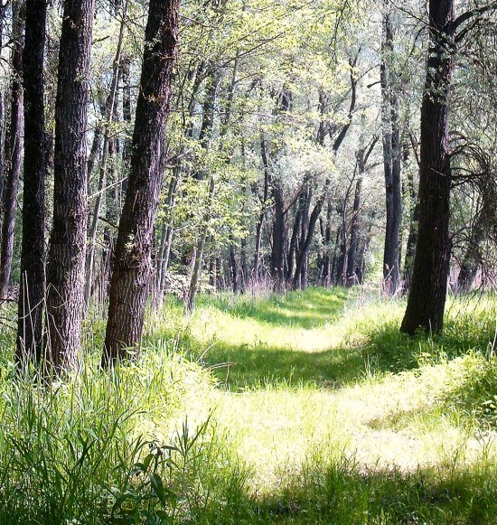 Natur erleben im Juni, &copy; Beate Brunninger