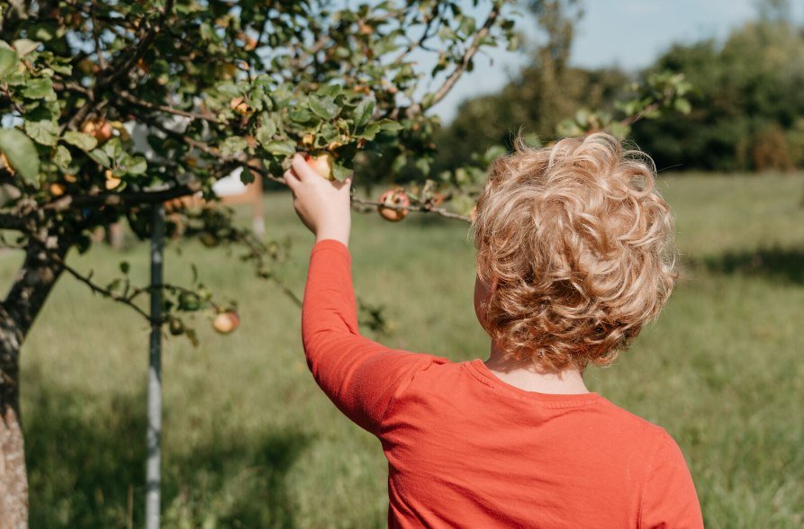 Streuobstwiese im Umweltgarten Klugham, &copy; Inn-Salzach Tourismus