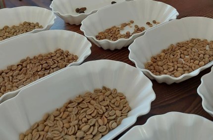 Kaffeebohnen, &copy; CaTienda