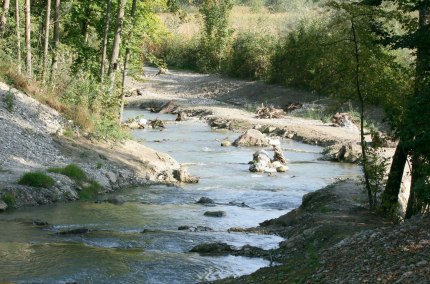 Fischtreppe Jettenbach