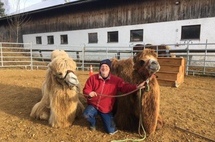 Kamelbegegnungen in Erlbach, © Lama-Oase