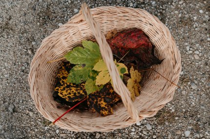 Herbstmarkt in Neu&ouml;tting, &copy; Tourismusverband Inn-Salzach