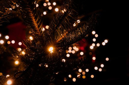 Hofweihnacht in der Ziegenmeierei, © Tourismusverband Inn-Salzach