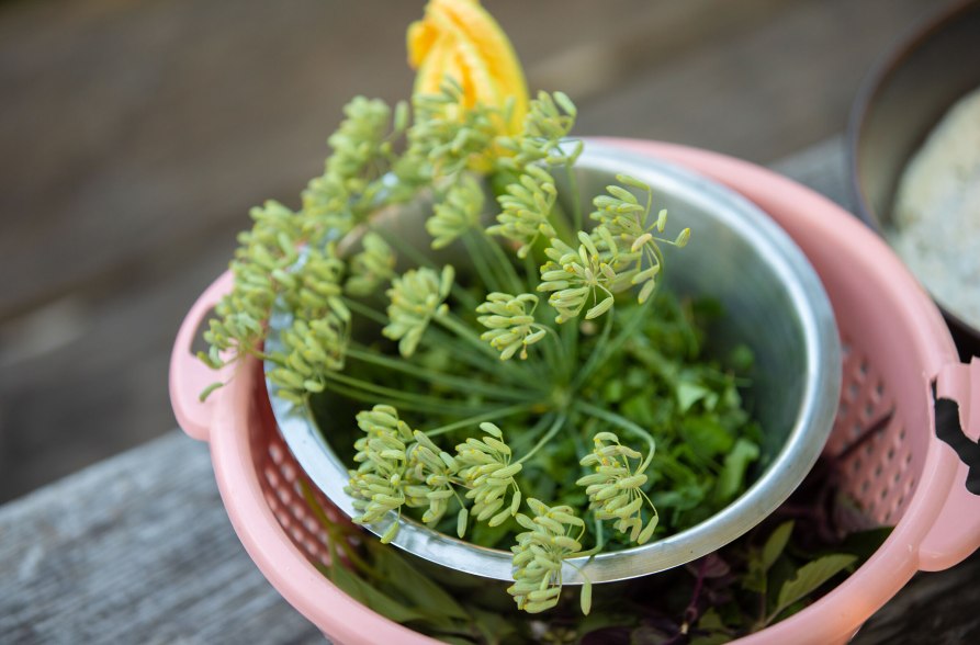 Frische Kräuter in einer Schale, © Inn-Salzach Tourismus