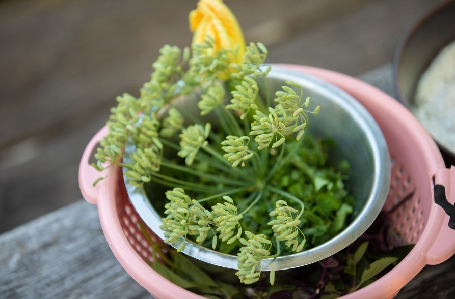 Frische Kr&auml;uter in einer Schale, &copy; Inn-Salzach Tourismus