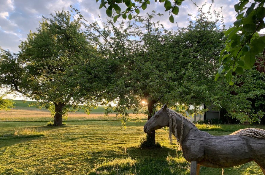 Garten mit Holzpferd und Wiese beim AmVieh-Theater in Schwindegg, © AmVieh-Theater