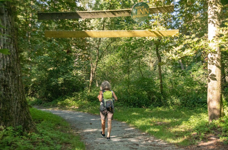 Frau wandert durch die Innauen, © Inn-Salzach Tourismus
