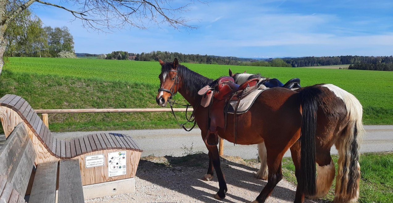 Bankerlweg.jpg, &copy; Inn-Salzach Tourismus