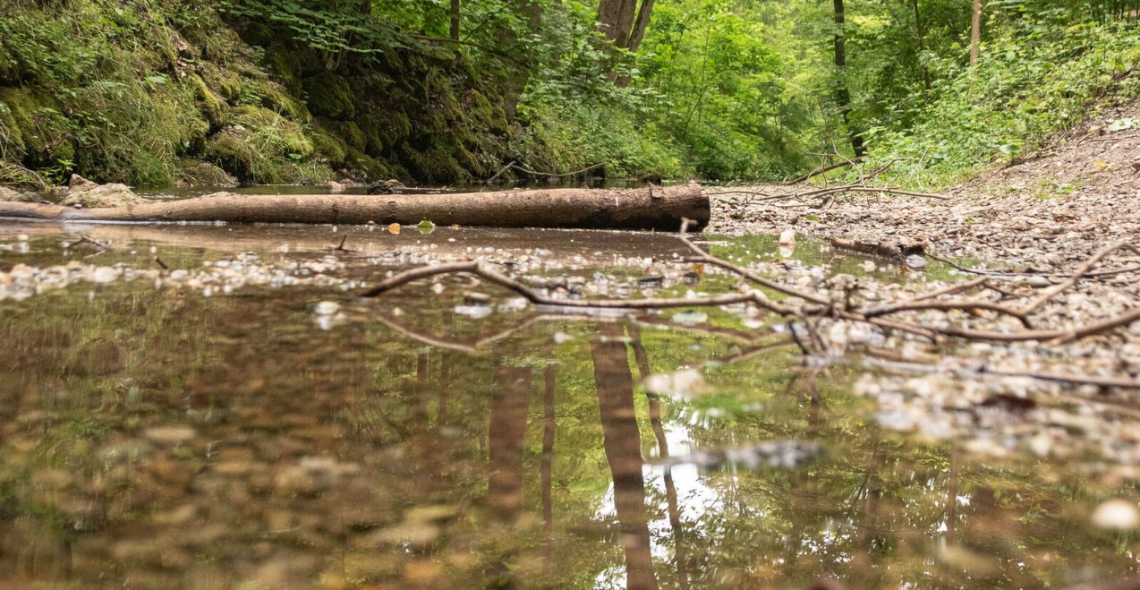 Bachlauf, &copy; Inn-Salzach Tourismus