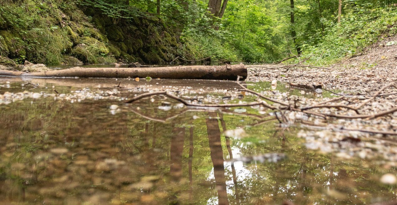 Bachlauf, &copy; Inn-Salzach Tourismus