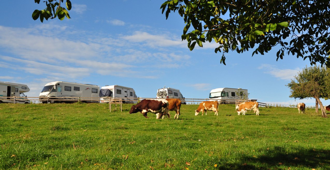 Wohnmobilstellplatz Gasthaus Kiefering, © Gasthaus Kiefering