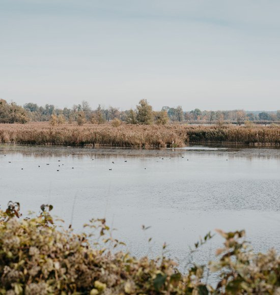 Europareservat "Unterer Inn", &copy; Inn-Salzach Tourismus