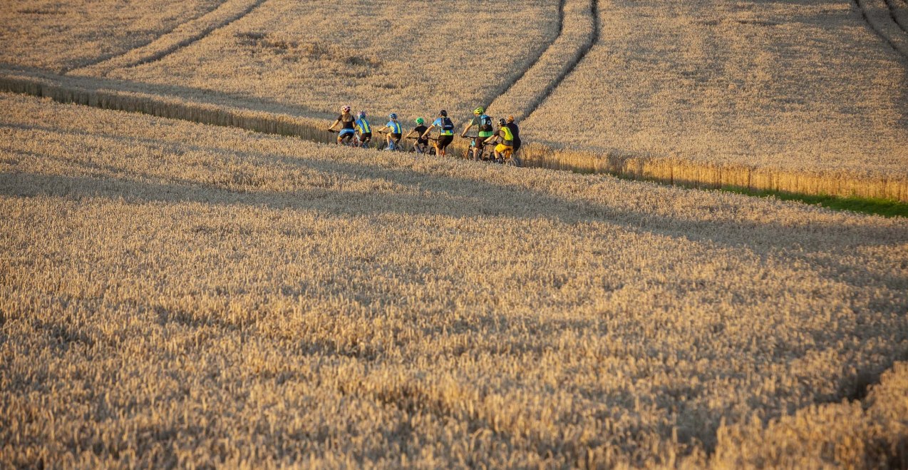 Radfahrer im Holzland, &copy; Wolfgang Gasserwww.chiemsee-fot