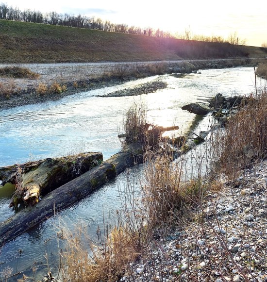 Natur erleben im Mai, &copy; Marianne Bollmann