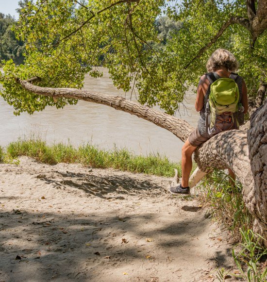 Innauen, &copy; Inn- Salzach Tourismus