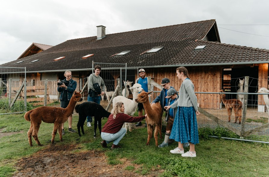 Alpakas kennenlernen bei der Niedergerner Alpakaranch, © Inn-Salzach Tourismus