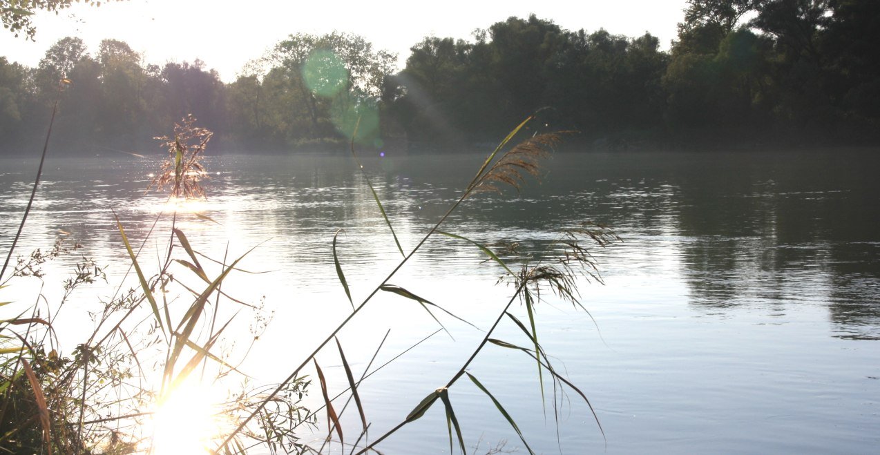 Natur erleben in Ehring am Inn, © Claudia Schmidt