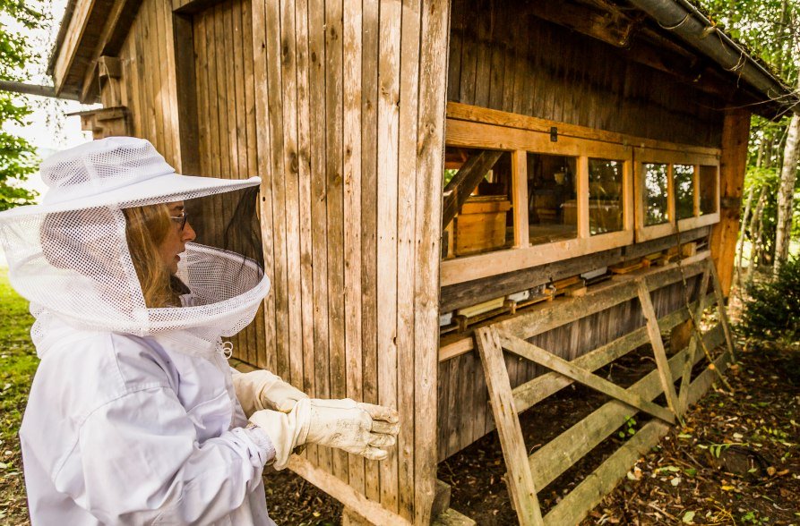 Bienen, © Inn-Salzach Tourismus