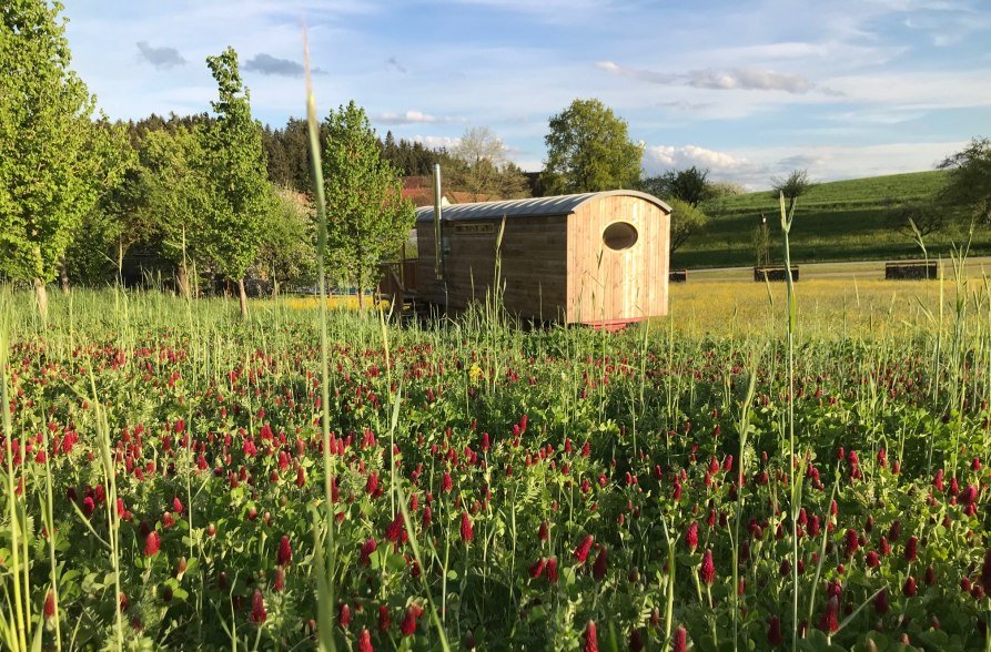 Zirkuswagen Wolpi, &copy; AmVieh Theater