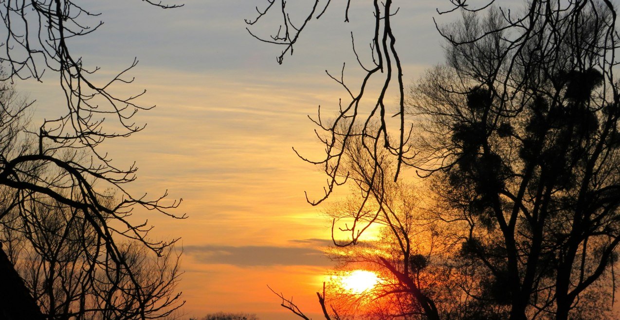 Natur erleben im November, © Marianne Bollmann
