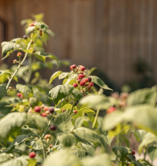 Wildkr&auml;uterwanderung in Waldkraiburg, &copy; Tourismusverband Inn-Salzach