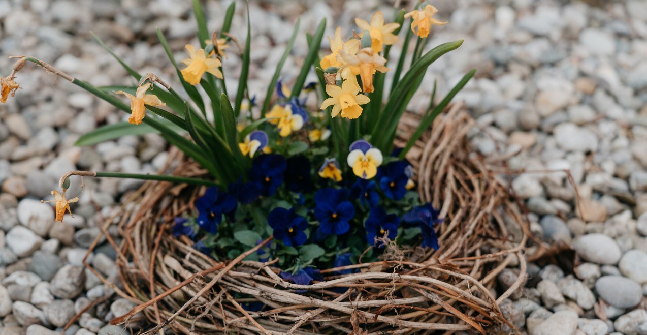 Lenz&acute;n Markt in T&uuml;ssling, &copy; Tourismusverband Inn-Salzach