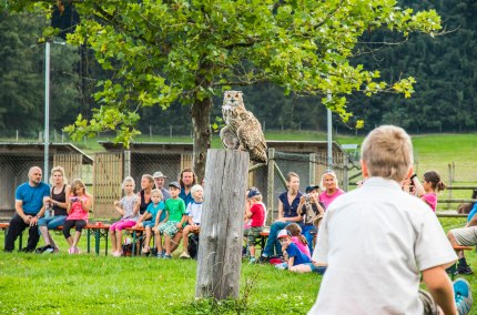 Besucher bei der Greifvogel-Show im Wildfreizeitpark Oberreith, &copy; Inn-Salzach Tourismus