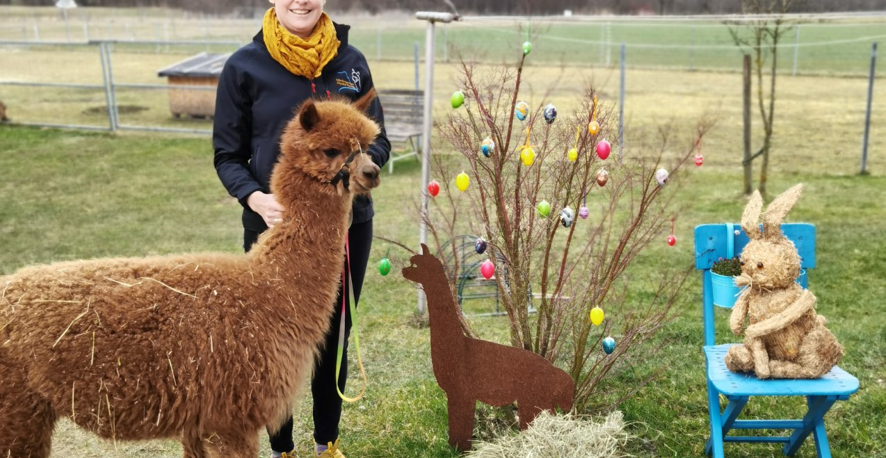 Heuaktion Niedergerner Alpakaranch, © Niedergerner Alpakaranch