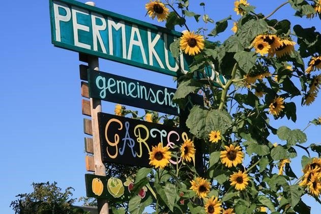 Führung durch den Permakultur-Gemeinschaftsgarten in Oberreith mit Liebgard Wessiak, © Liebgard Wessiak