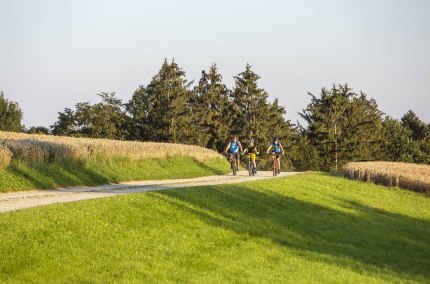 Radfahrer im Holzland